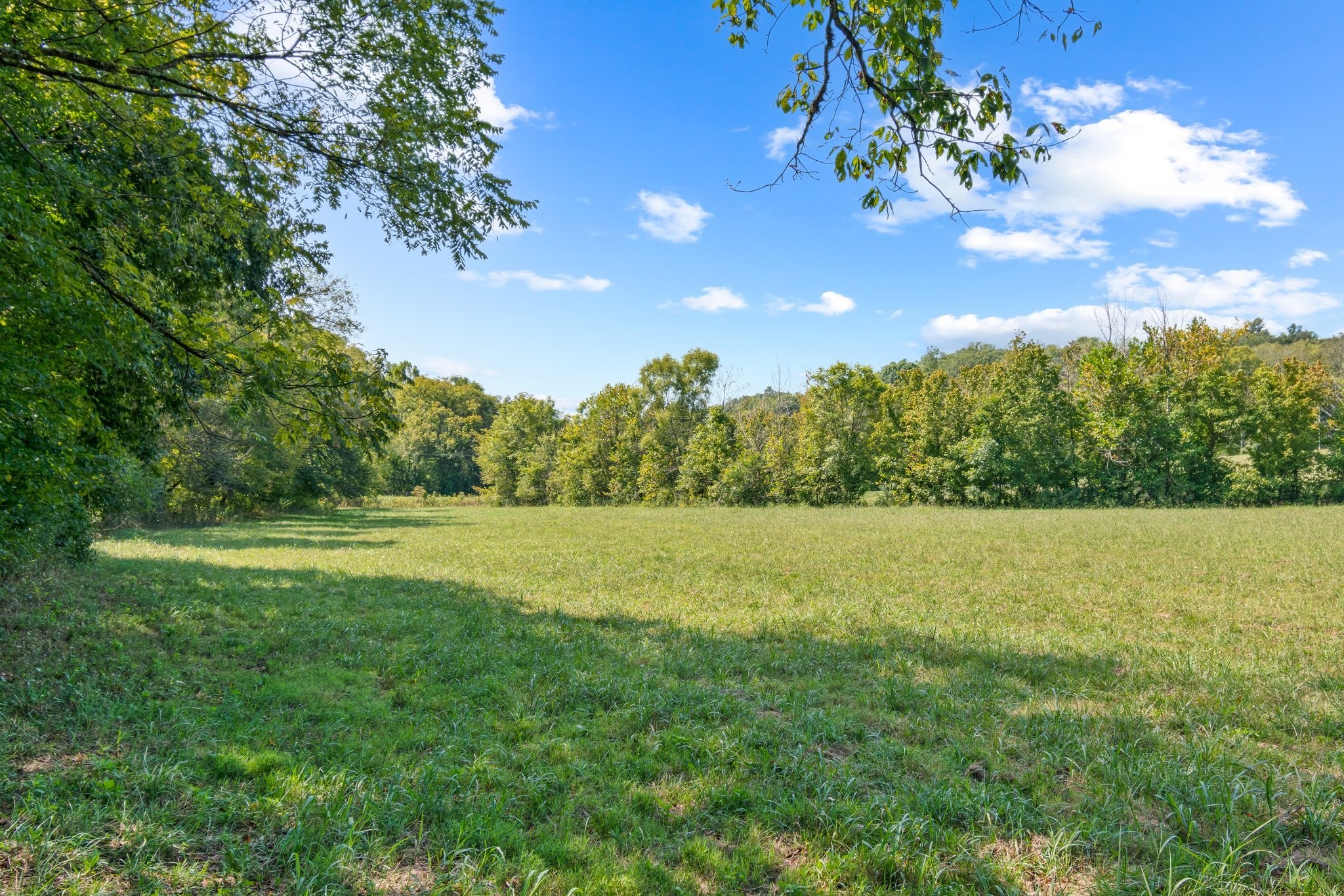 0 Grays Bend Road Centerville, TN 37033 - Photo 8 of 44 a view of an outdoor space and a yard