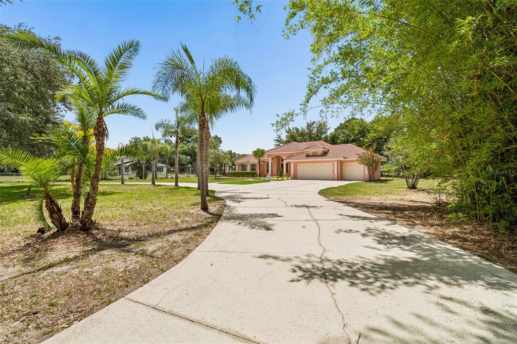 9619 Springbrook Drive Riverview, FL 33578 - Photo 4 of 55
