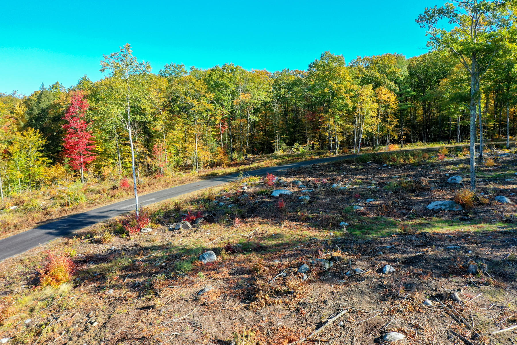 Lot 4 Birch Circle Harrison, ME 04040 - Photo 22 of 24 Pic#-14