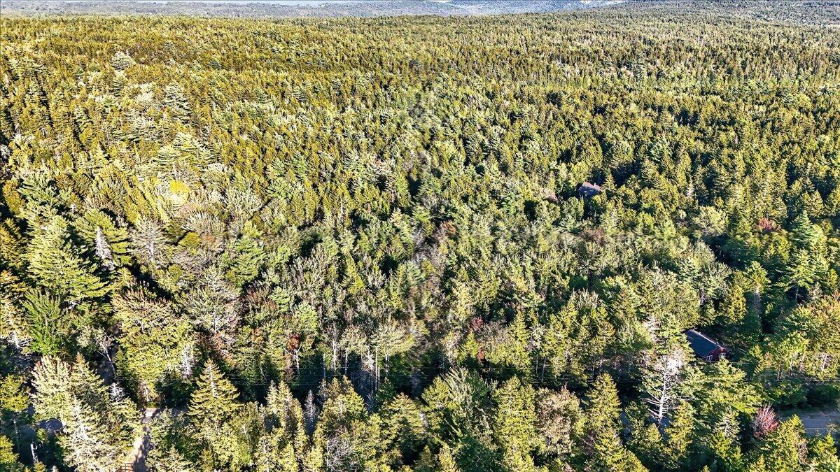 Tbd Pretty Marsh Road Mount Desert, ME 04660 - Photo 16 of 17 11-Pretty Marsh Rd.-10