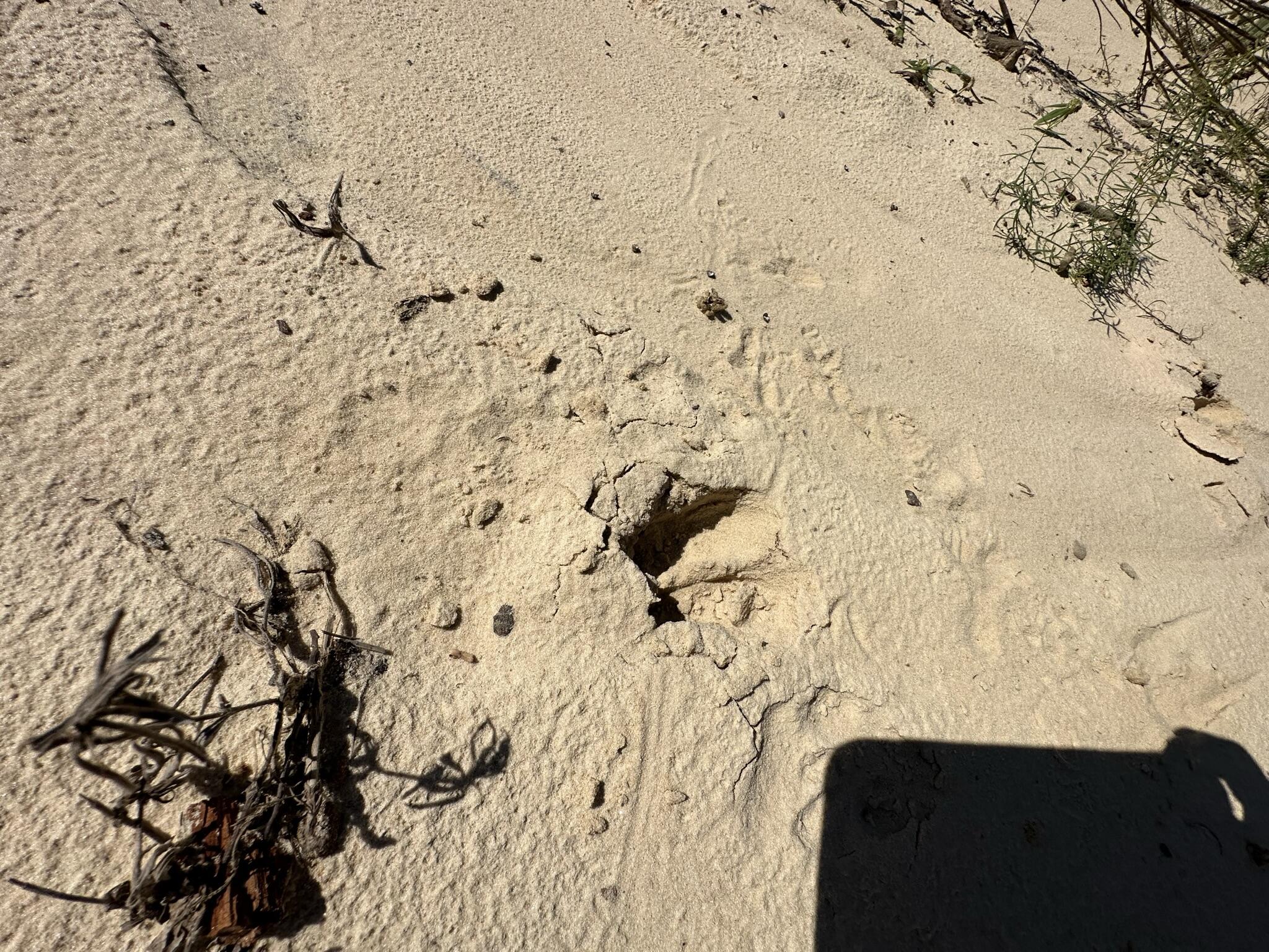 D2 Millside Road Laurel Hill, FL 32567 - Photo 5 of 8