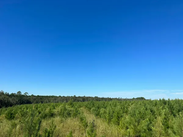 $110,900 | D2 Millside Road, Laurel Hill, FL 32567