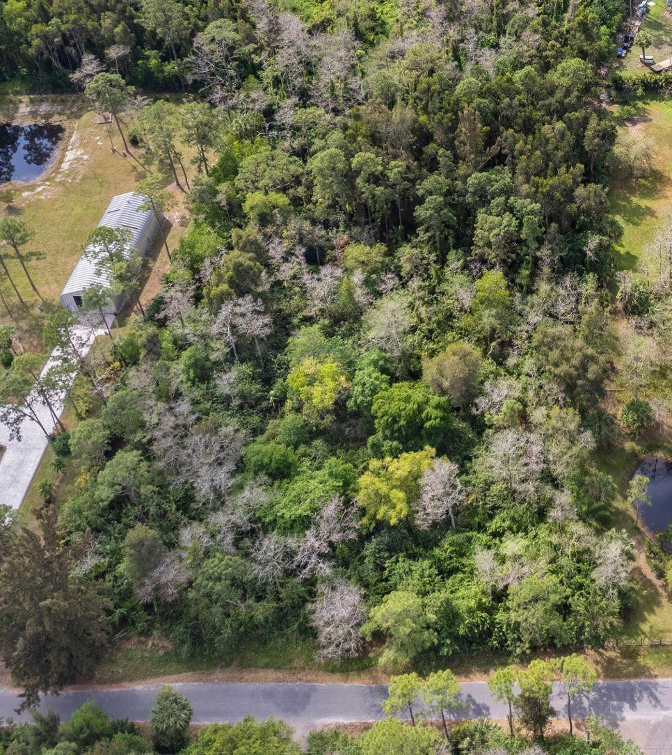 13094 Compton Road Loxahatchee, FL 33470 - Photo 2 of 2 Photo 2