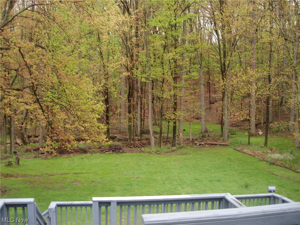 7542 Ridge Road Cleveland, OH 44129 - Photo 4 of 5 PARKLIKE VIEWS