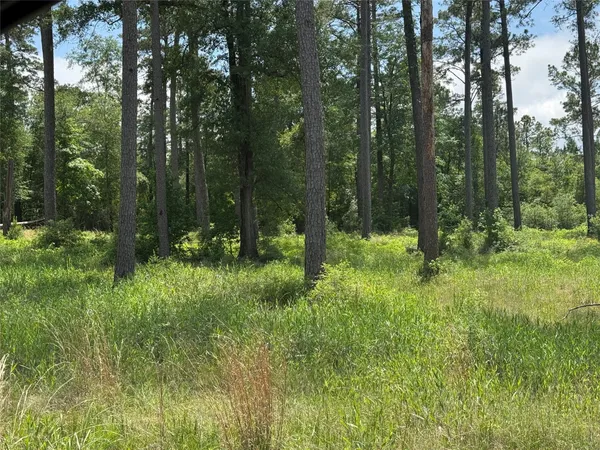 a view of outdoor space and garden