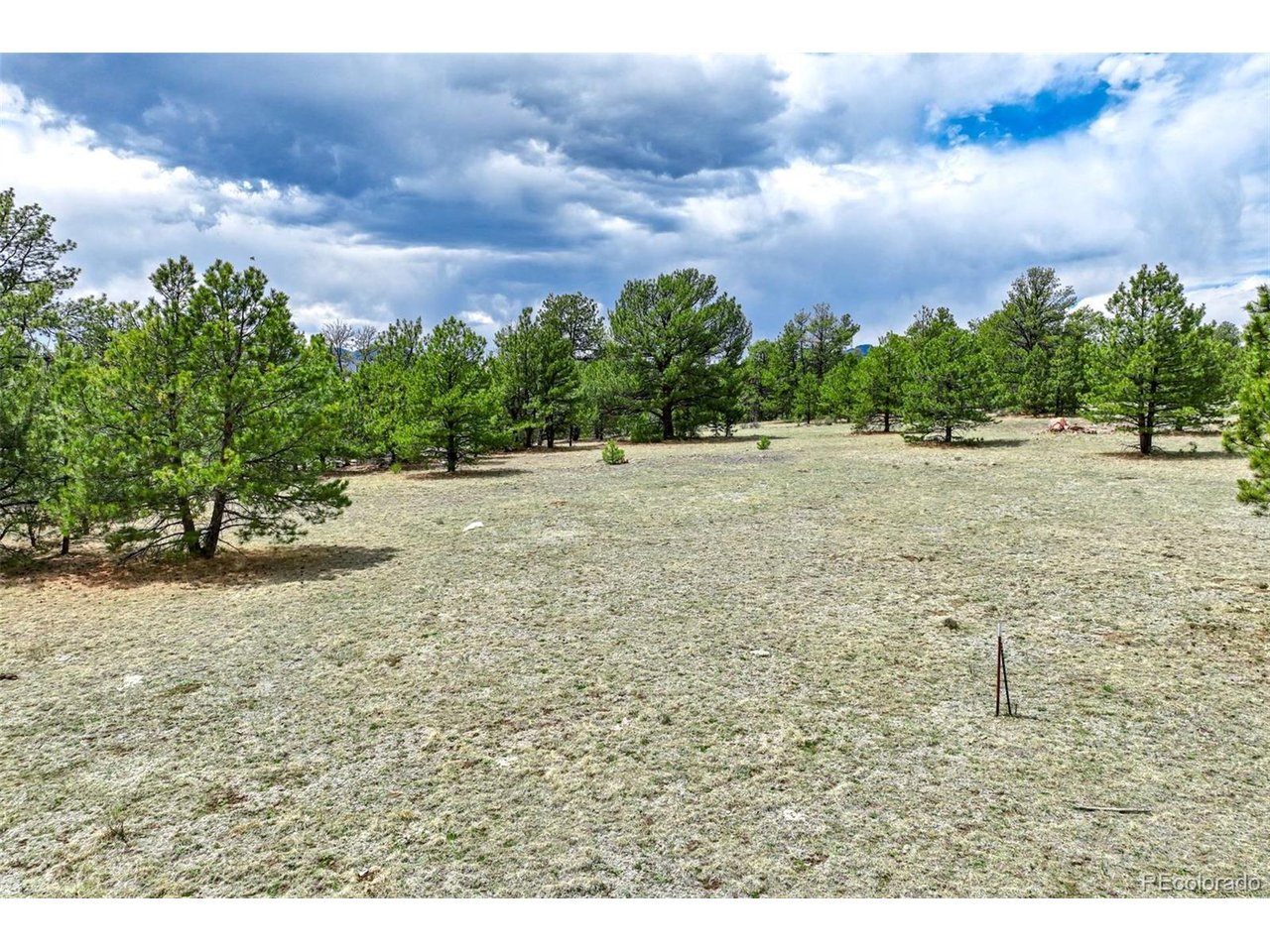 103 Doe Valley Road Guffey, CO 80820 - Photo 39 of 46