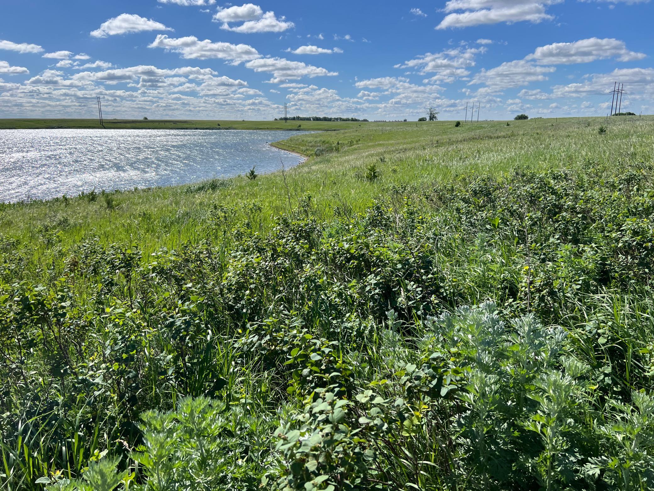 Tbd Southeast Tbd Se 90th Street Rutland, ND 58067 - Photo 87 of 105