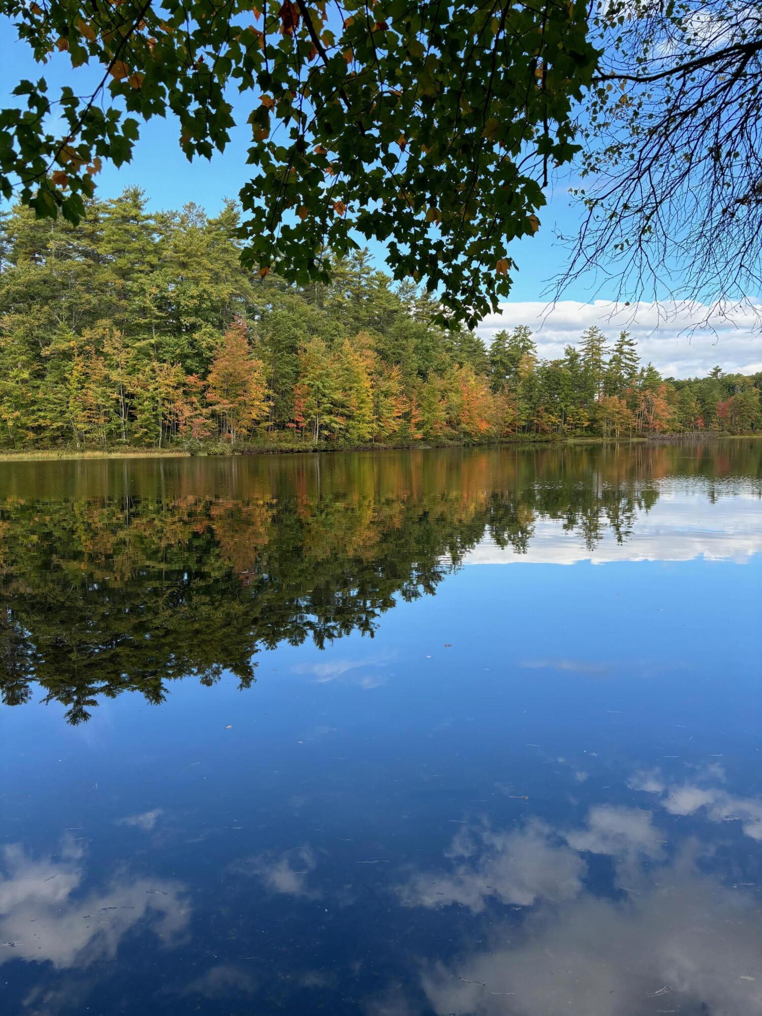 517 Pequawket Lake Road Limington, ME 04049 - Photo 4 of 33 Water View