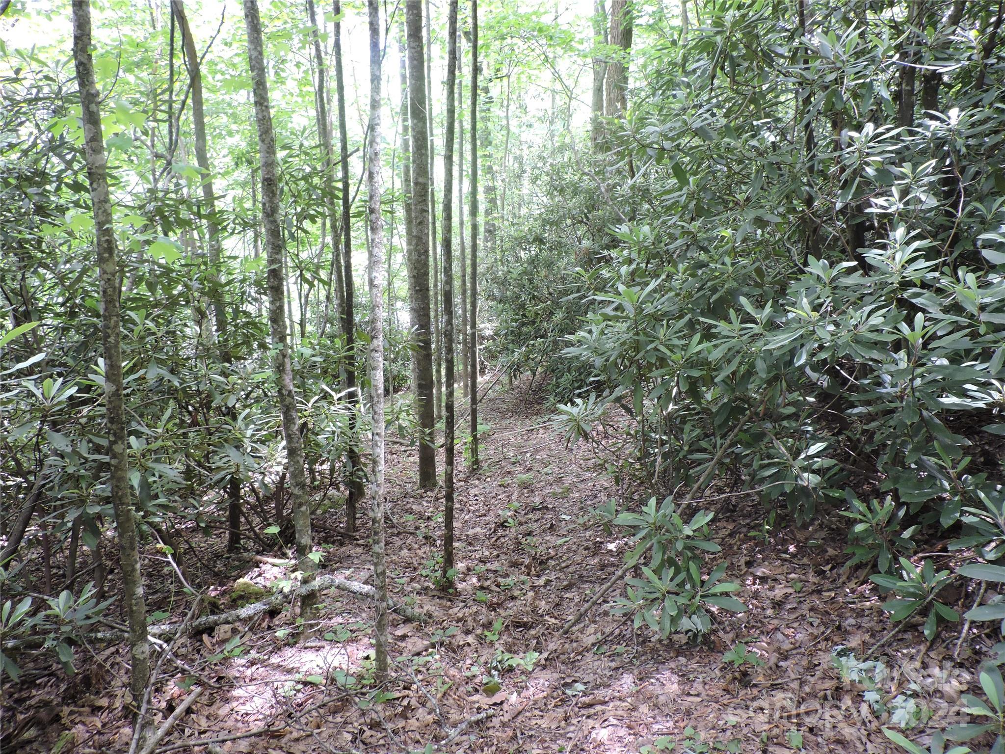 0 South Toe River Road, Unit LOT 3 Burnsville, NC 28714 - Photo 14 of 28 a view of outdoor space and green space