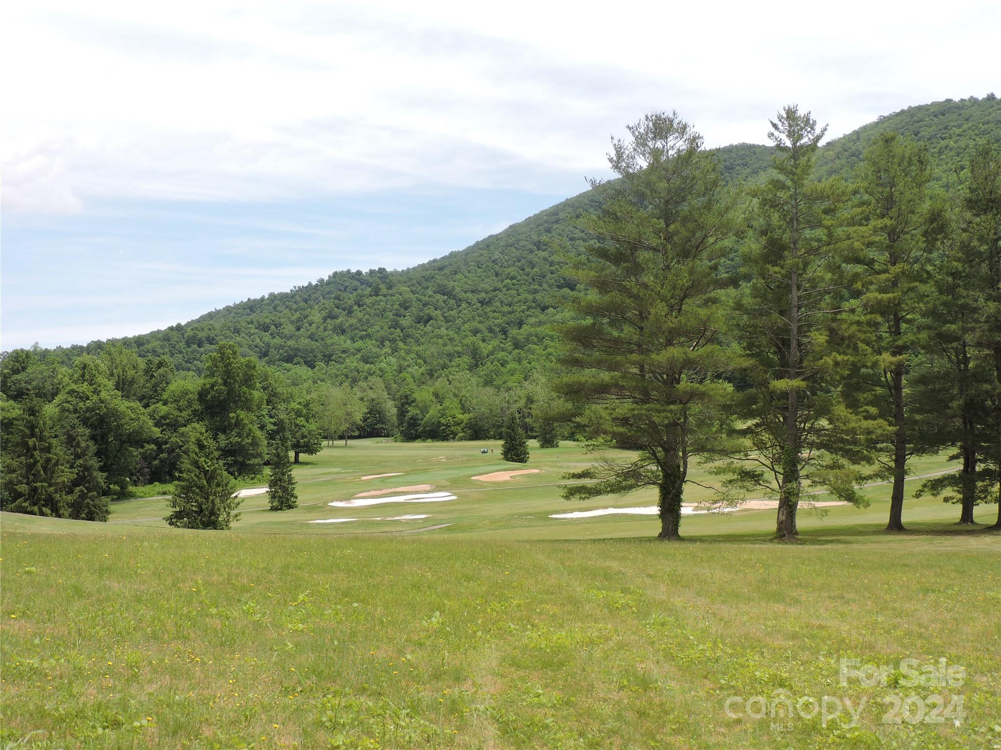 0 South Toe River Road, Unit LOT 3 Burnsville, NC 28714 - Photo 17 of 28 a view of a trees with a yard