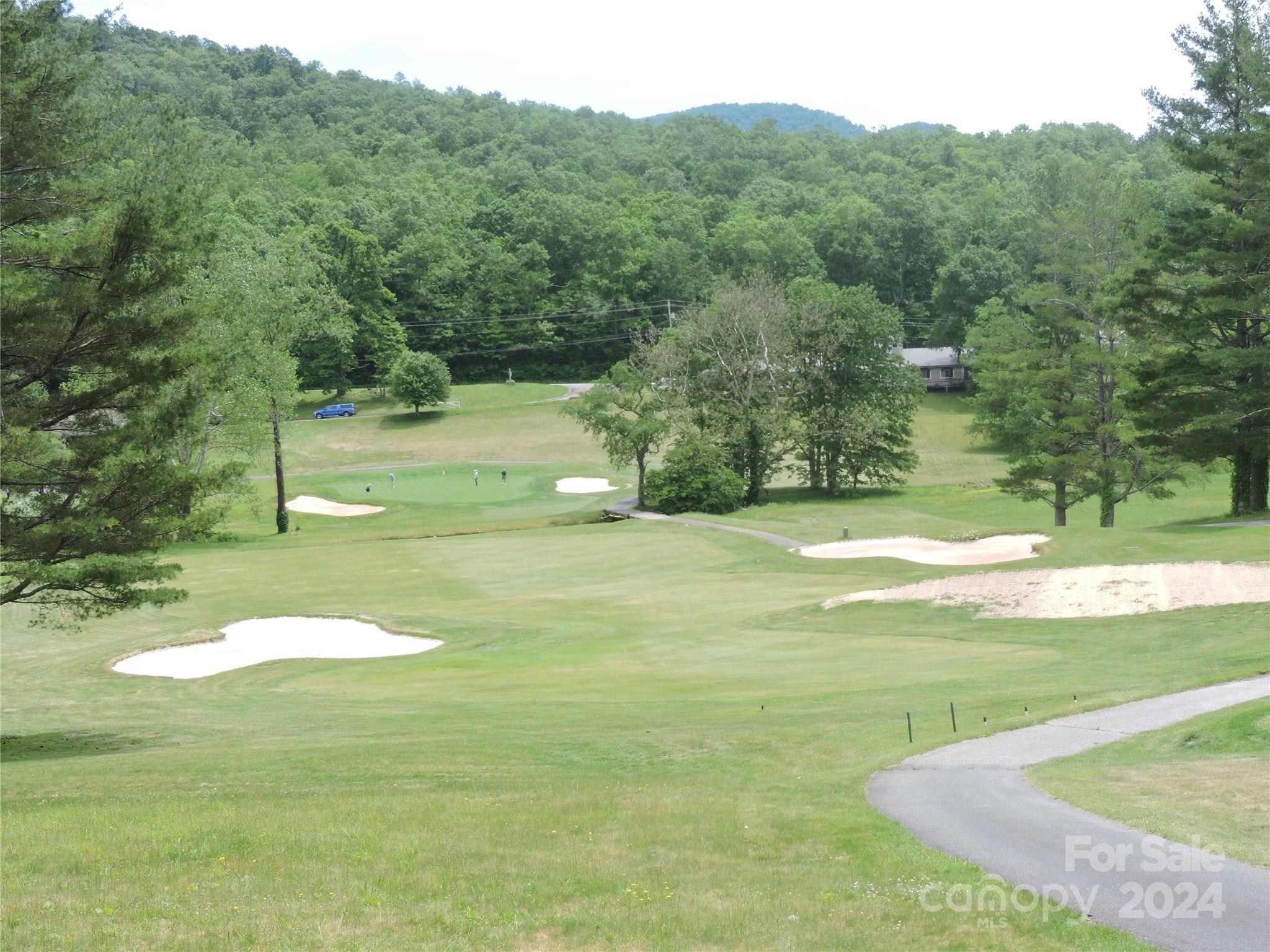 0 South Toe River Road, Unit LOT 3 Burnsville, NC 28714 - Photo 18 of 28 a view of a grassy area with an trees