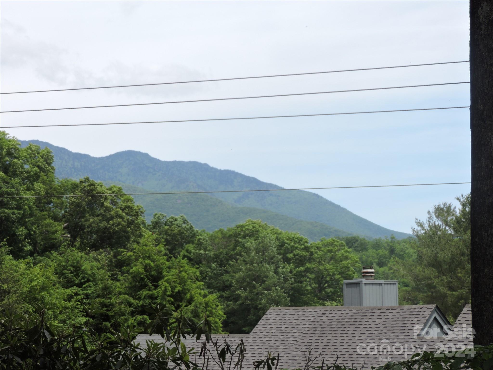0 South Toe River Road, Unit LOT 3 Burnsville, NC 28714 - Photo 2 of 28 a view of a house with a yard and mountains