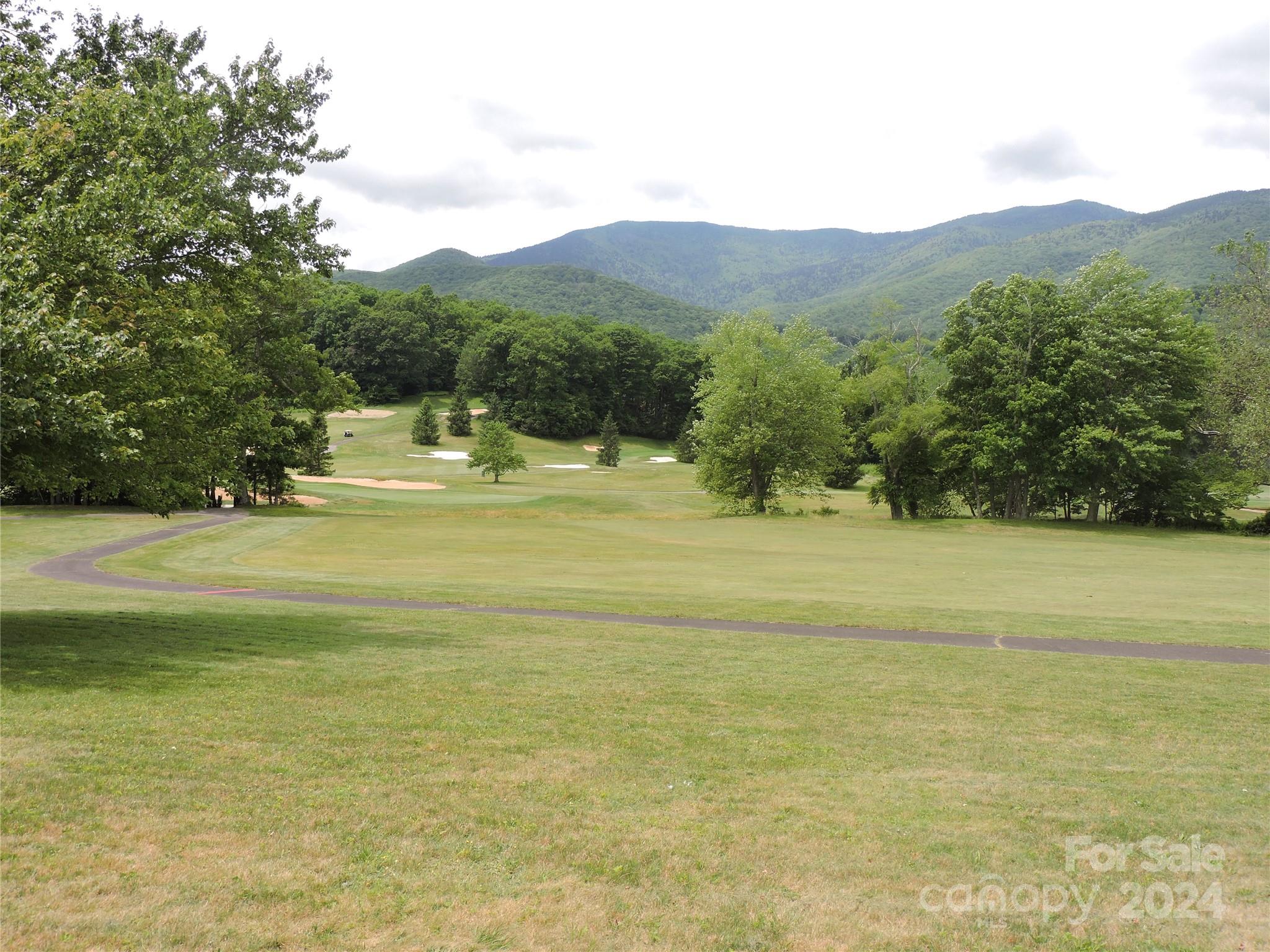 0 South Toe River Road, Unit LOT 3 Burnsville, NC 28714 - Photo 23 of 28