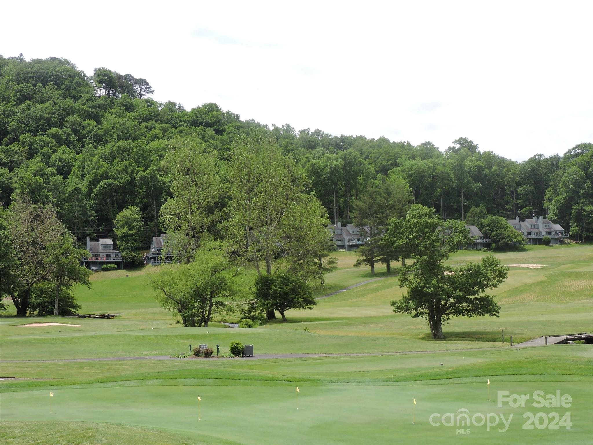 0 South Toe River Road, Unit LOT 3 Burnsville, NC 28714 - Photo 25 of 28 a view of a garden