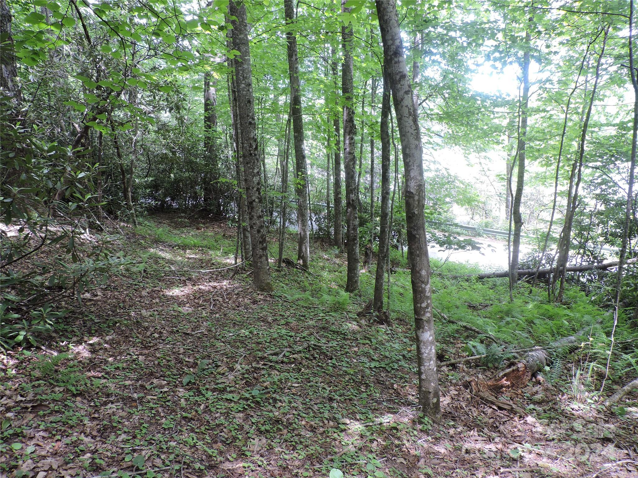 0 South Toe River Road, Unit LOT 3 Burnsville, NC 28714 - Photo 7 of 28 a view of outdoor space and green space