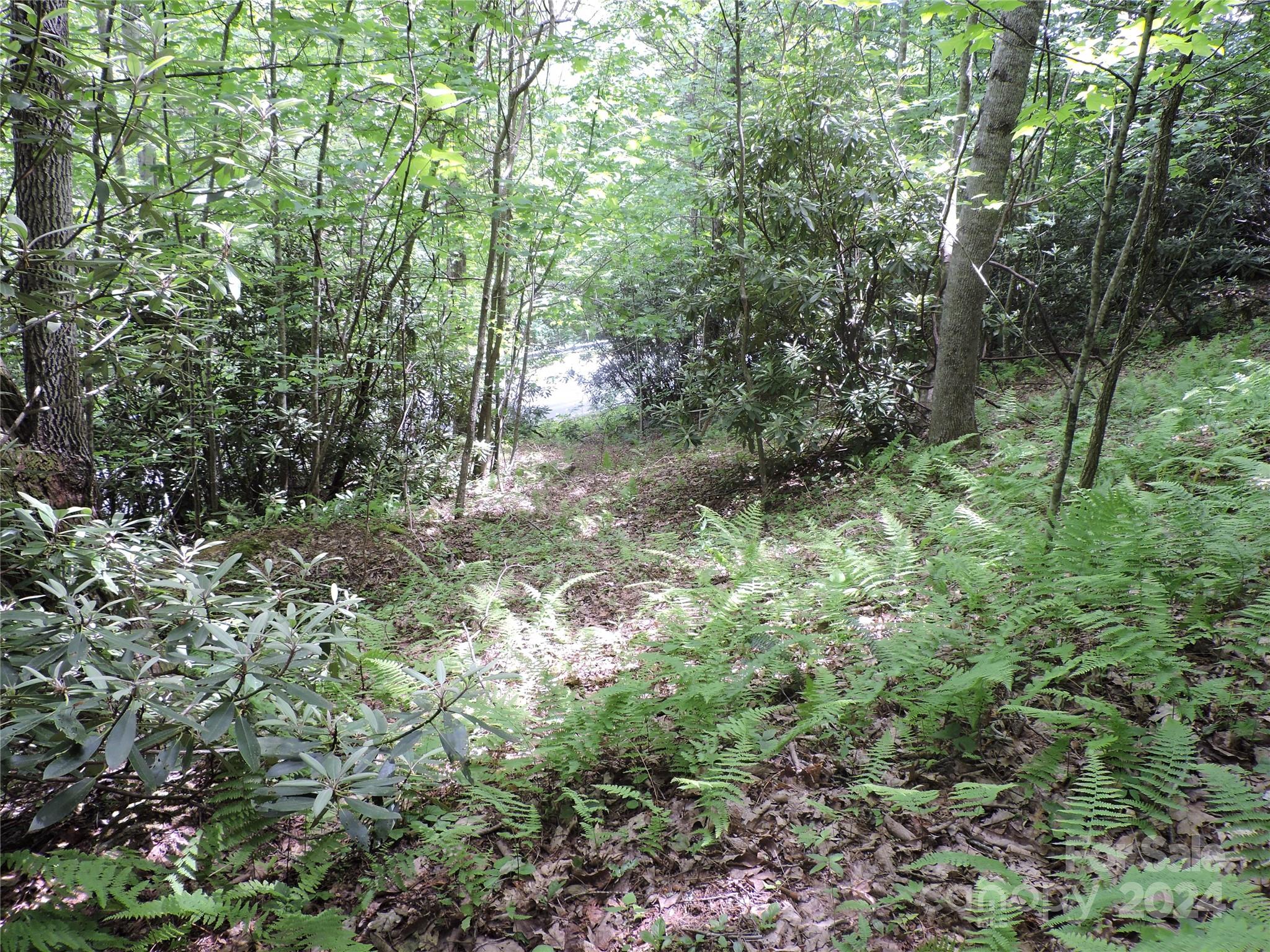 0 South Toe River Road, Unit LOT 3 Burnsville, NC 28714 - Photo 10 of 28 a view of forest