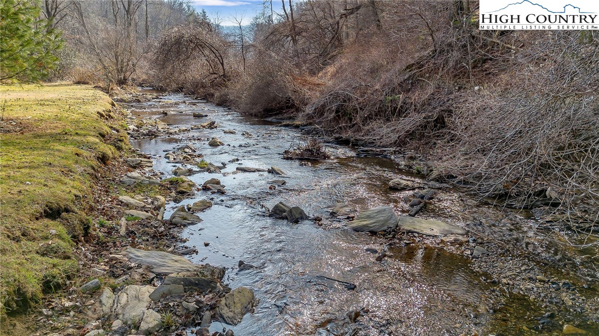 2862 Lower Nettle Knob Road West Jefferson, NC 28694 - Photo 5 of 41 a view of a dry yard with trees