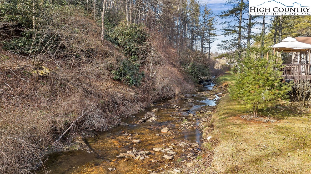 2862 Lower Nettle Knob Road West Jefferson, NC 28694 - Photo 8 of 41 a view of a yard with plants and trees