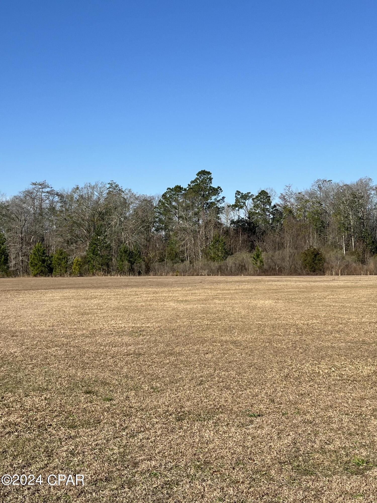 1534 Jarous Road Cottondale, FL 32431 - Photo 8 of 31 Gallery Image 8