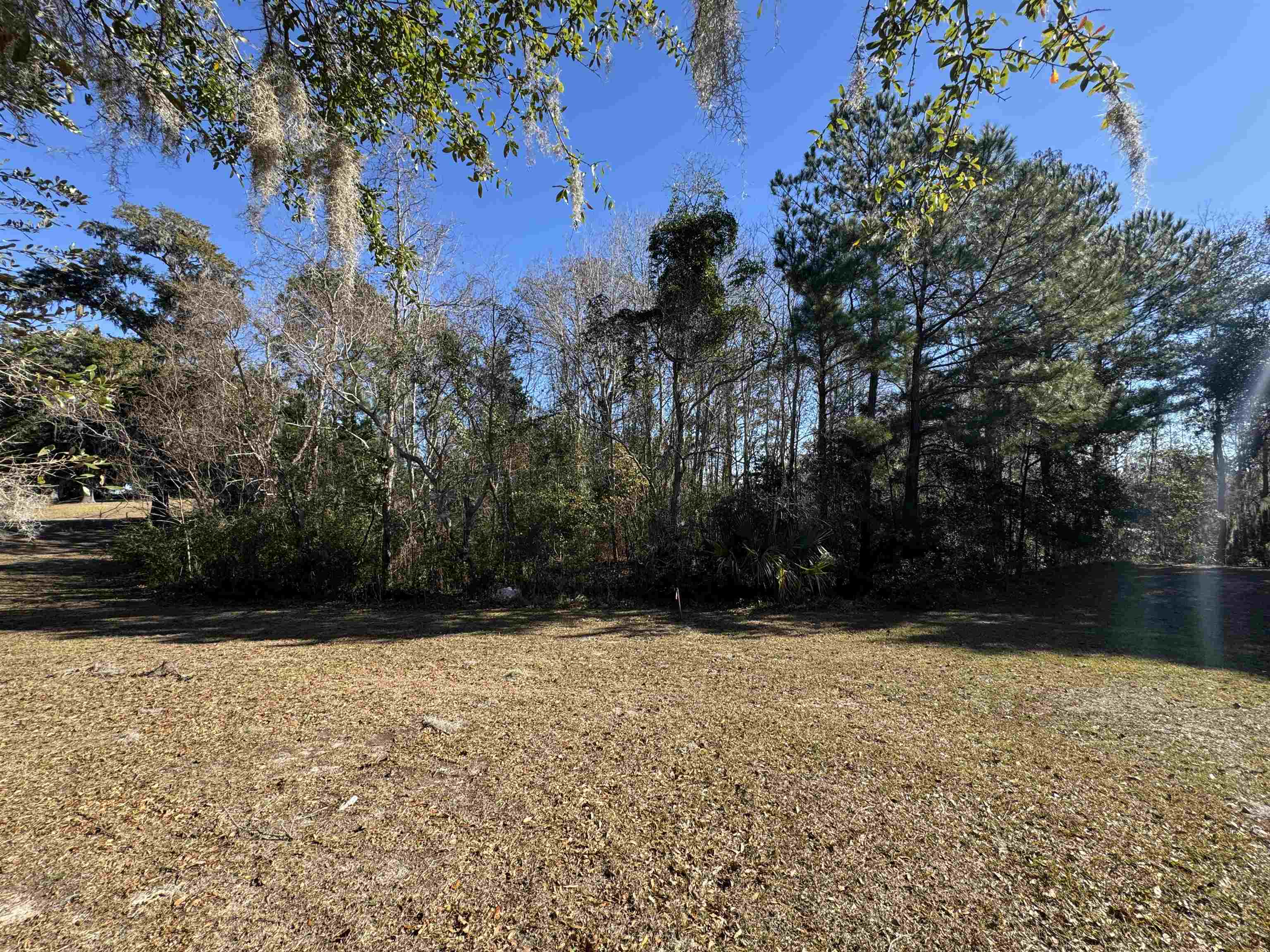 437 Rosebank Road Georgetown, SC 29440 - Photo 1 of 9 Gallery Image 1