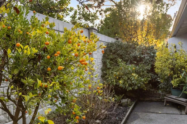 a backyard of a house with lots of green space