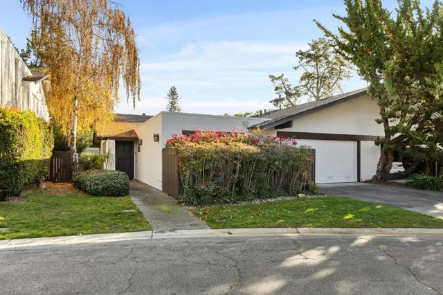 a view of a house with a yard and large tree