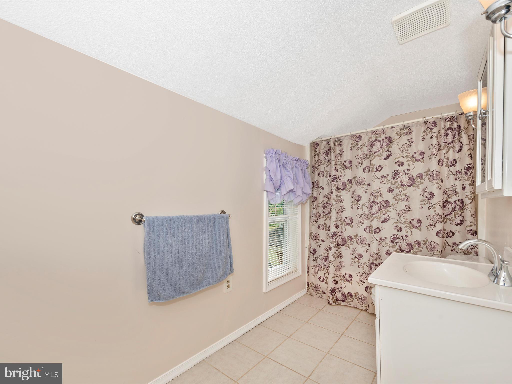 8151 Rocky Ridge Road Thurmont, MD 21788 - Photo 23 of 52 Primary Bathroom