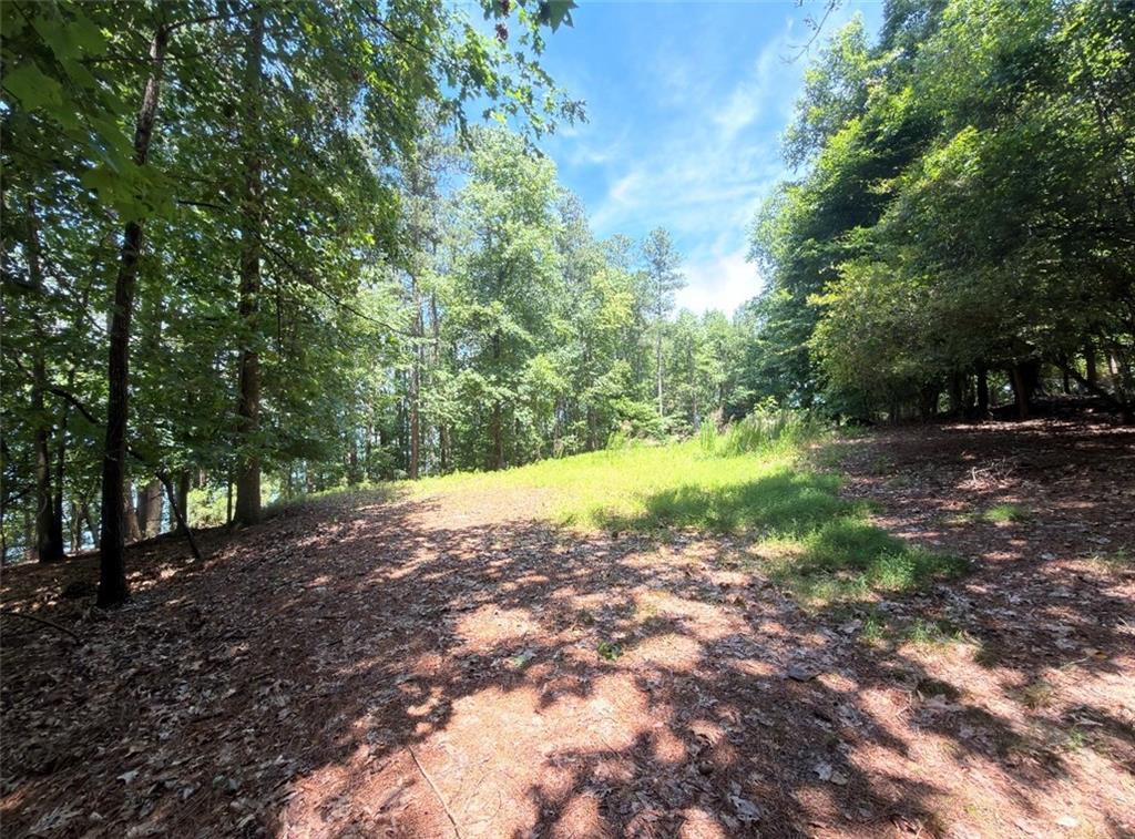 1739 West Green Road Buford, GA 30518 - Photo 5 of 8 a view of outdoor space