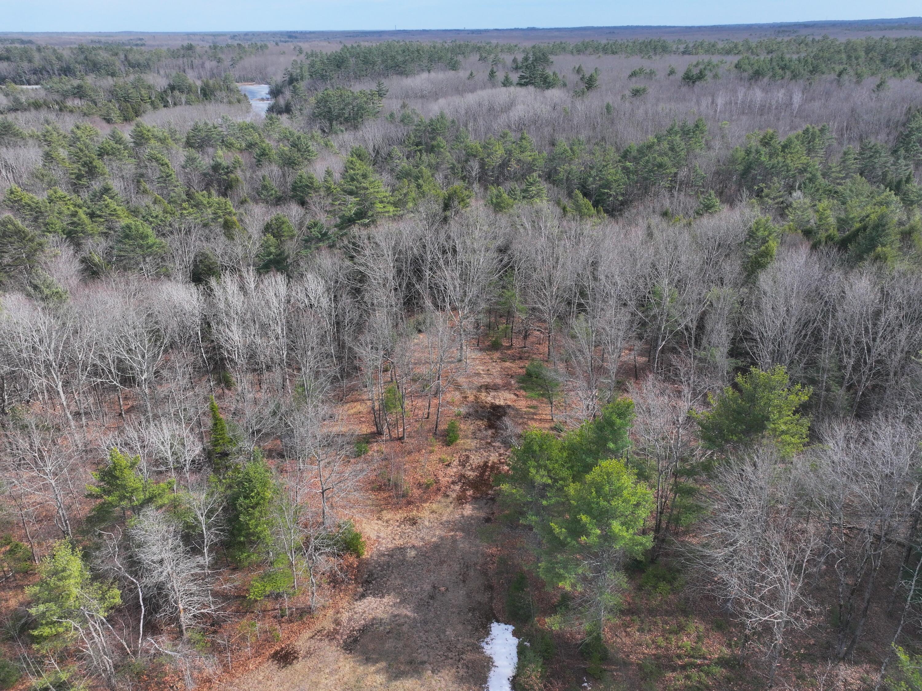 Lot 00 East Knight Farm Road Kennebunk, ME 04043 - Photo 12 of 14 Pristine Maine Woods!