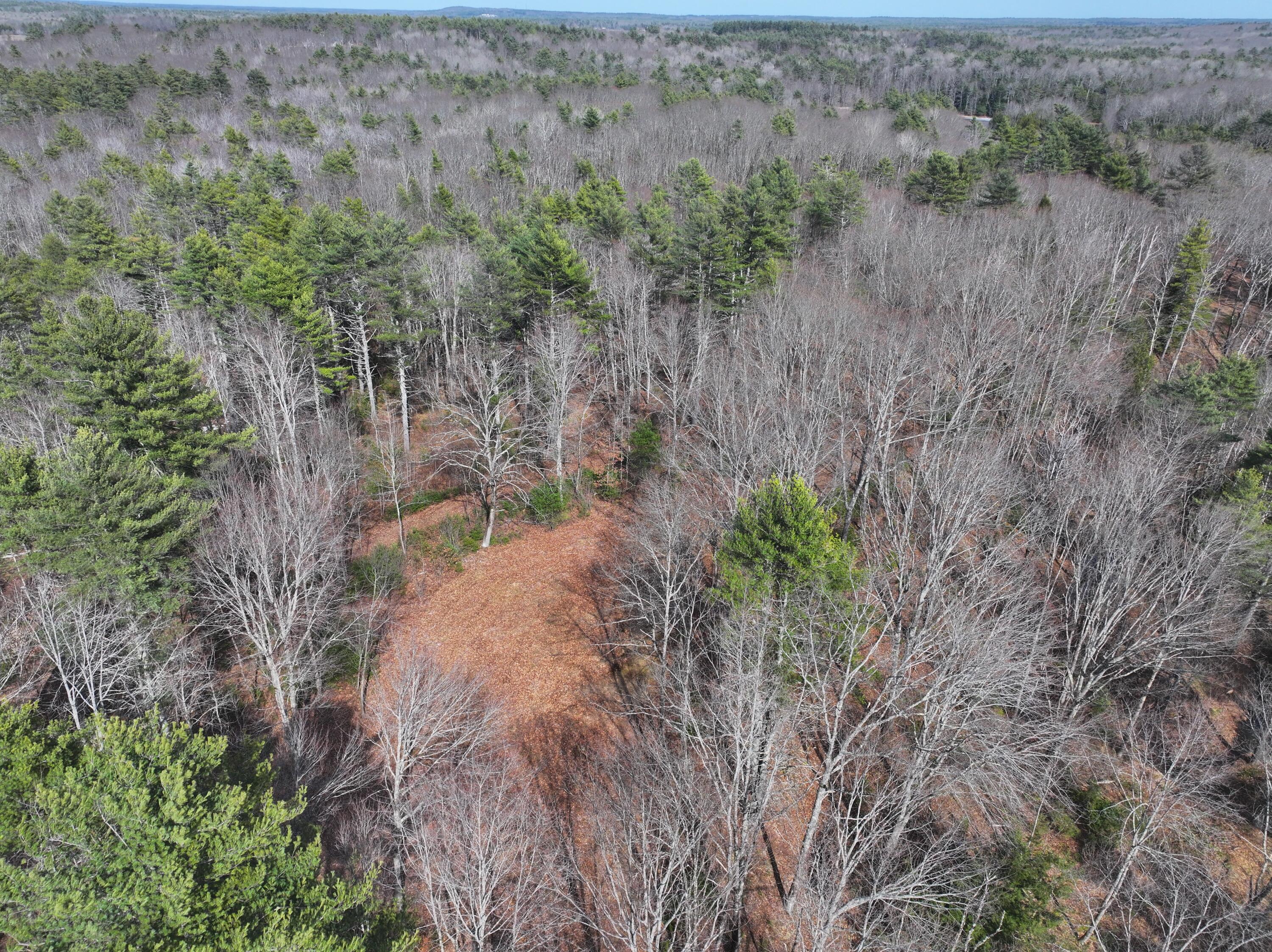 Lot 00 East Knight Farm Road Kennebunk, ME 04043 - Photo 13 of 14 Pristine Maine Woods!