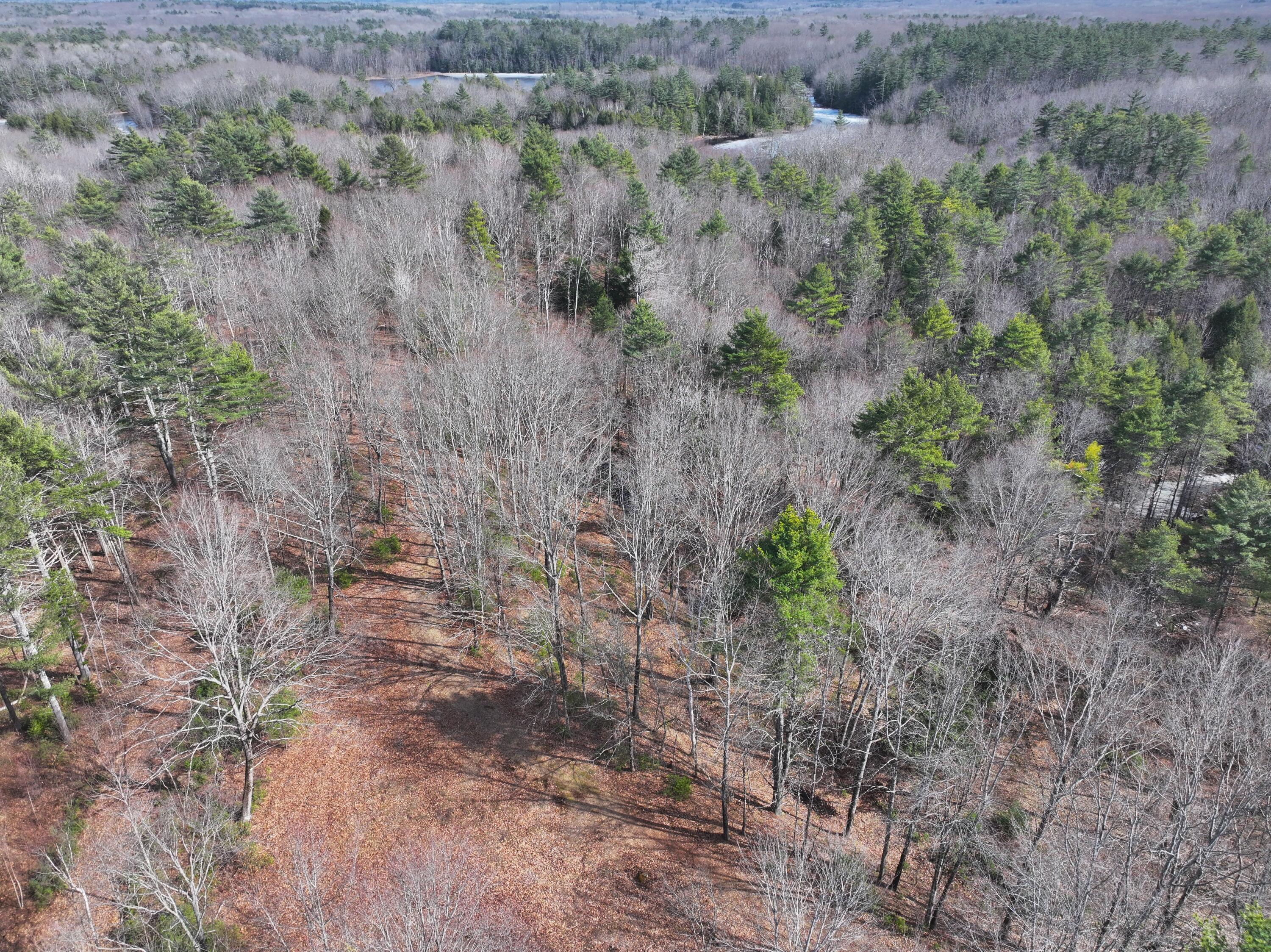 Lot 00 East Knight Farm Road Kennebunk, ME 04043 - Photo 14 of 14 Pristine Maine Woods!