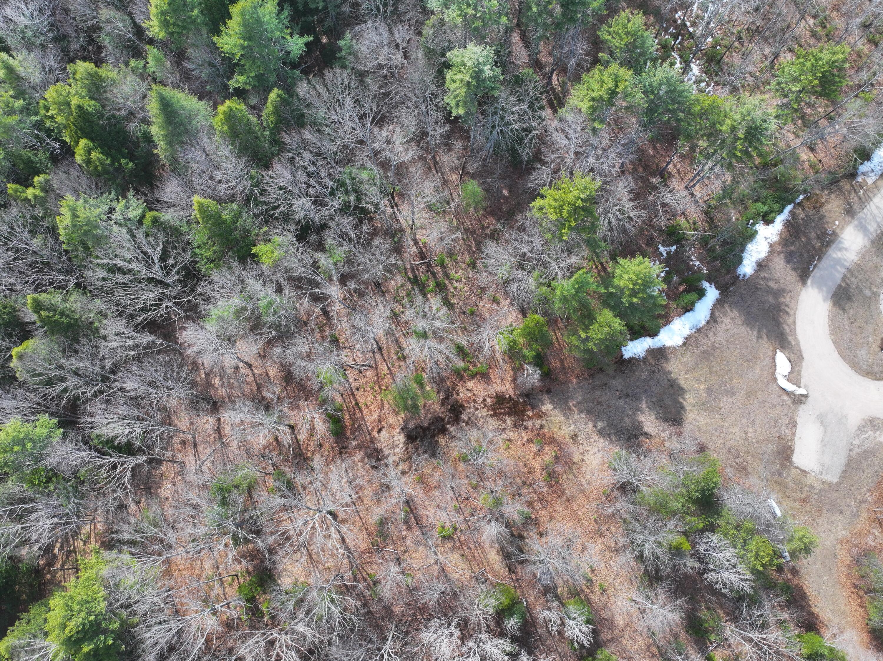 Lot 00 East Knight Farm Road Kennebunk, ME 04043 - Photo 2 of 14 Easily Accessible off Existing Drive