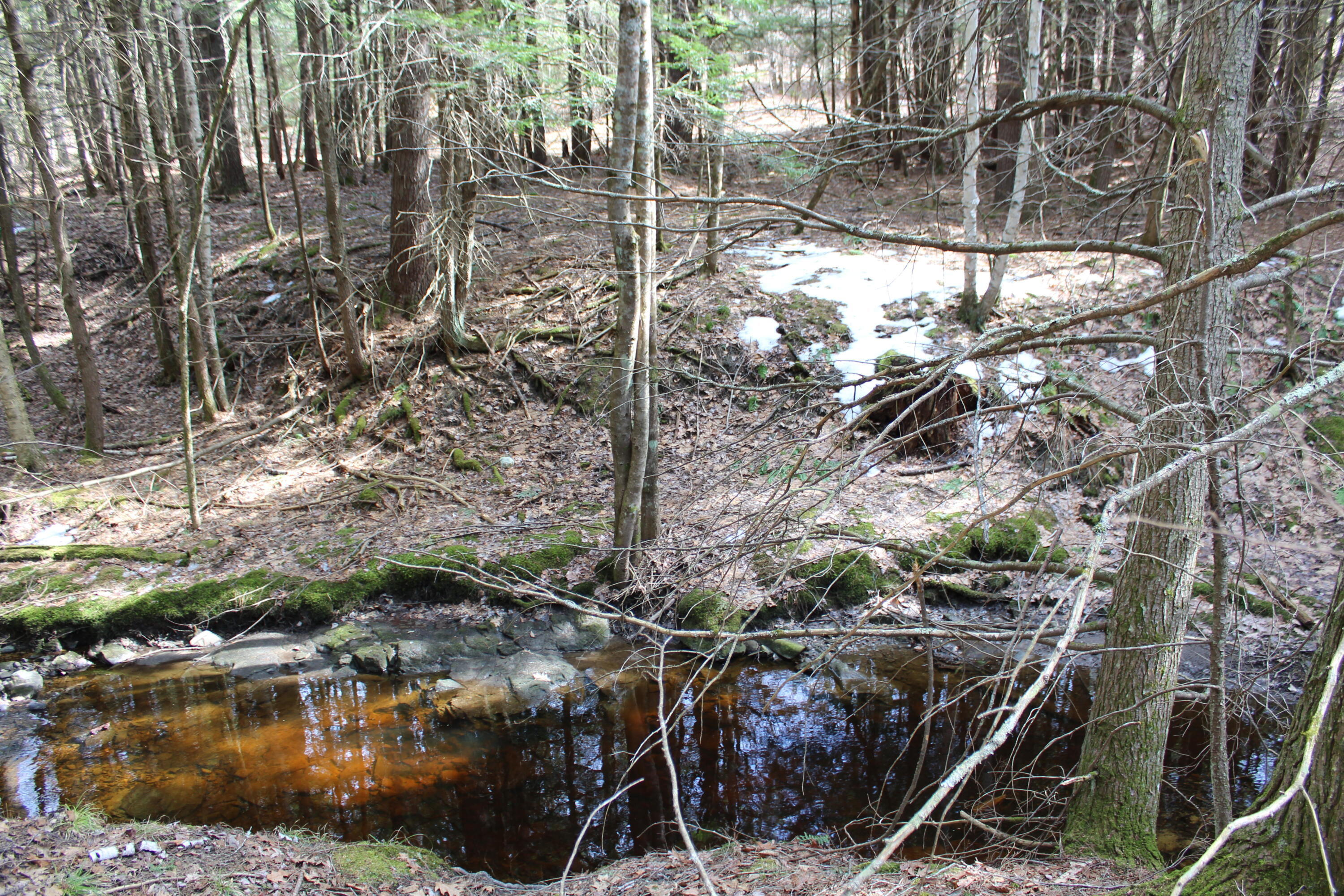Lot 00 East Knight Farm Road Kennebunk, ME 04043 - Photo 5 of 14 Views of Farm Stream