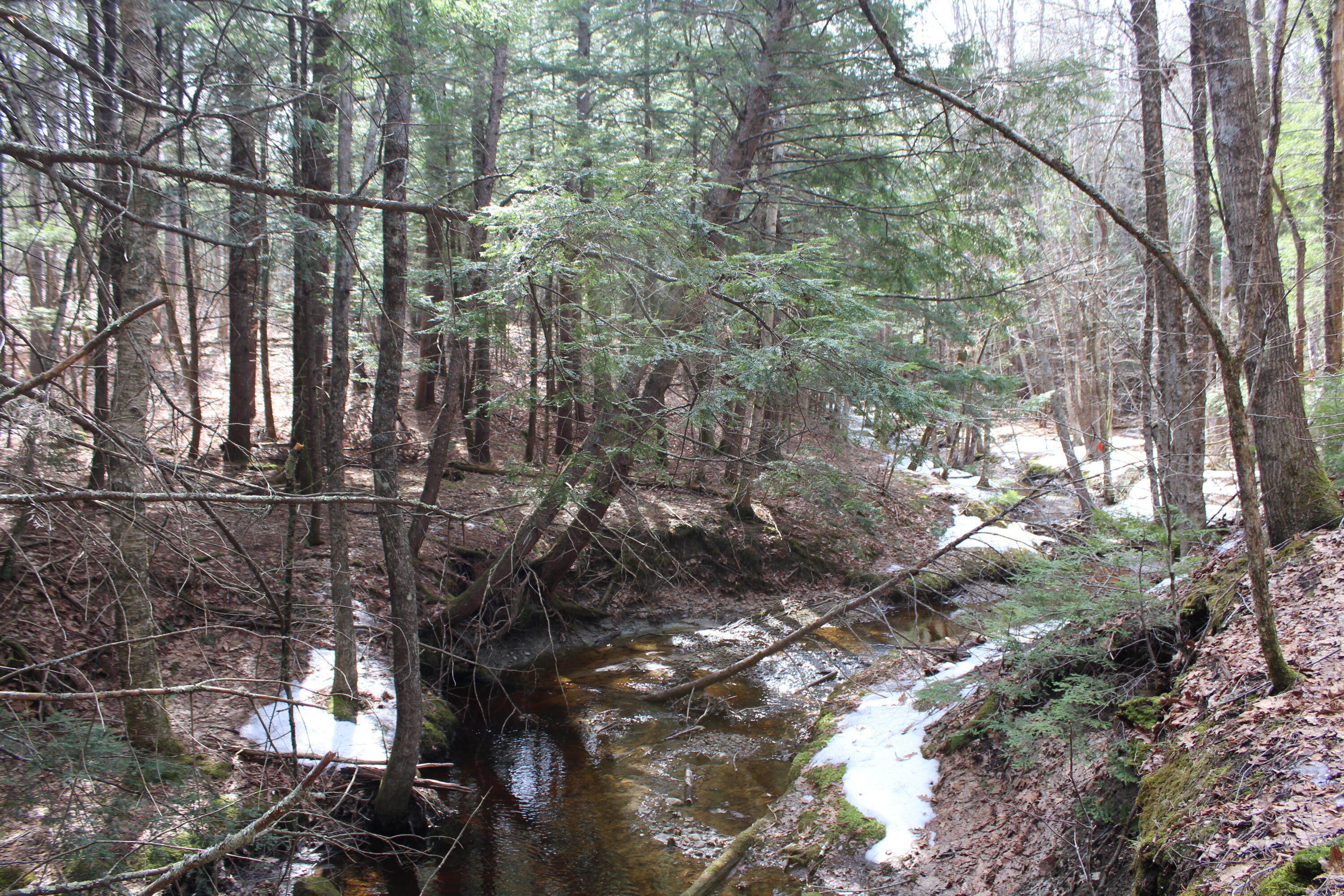 Lot 00 East Knight Farm Road Kennebunk, ME 04043 - Photo 6 of 14 Views of Farm Stream