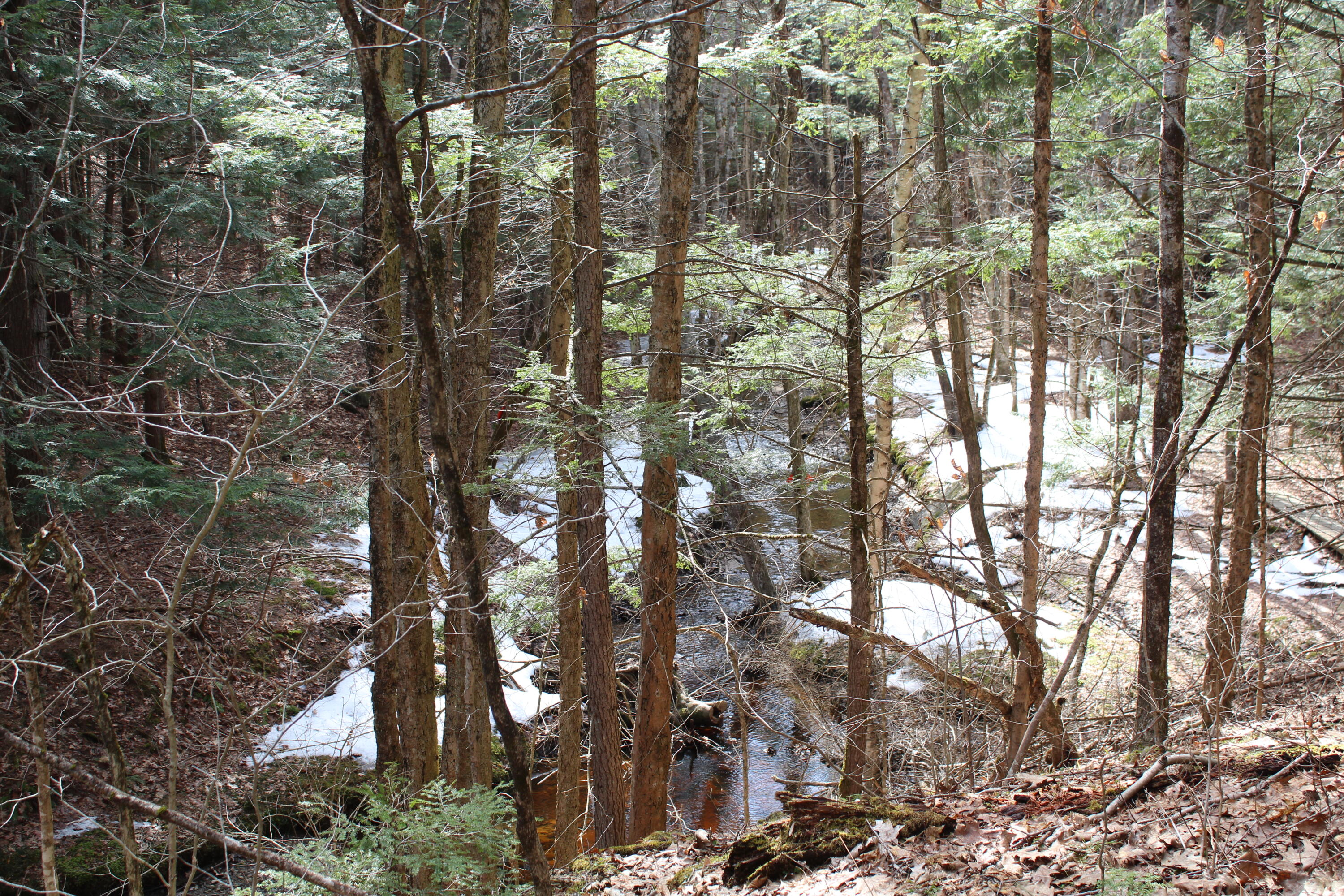 Lot 00 East Knight Farm Road Kennebunk, ME 04043 - Photo 7 of 14 Views of Farm Stream