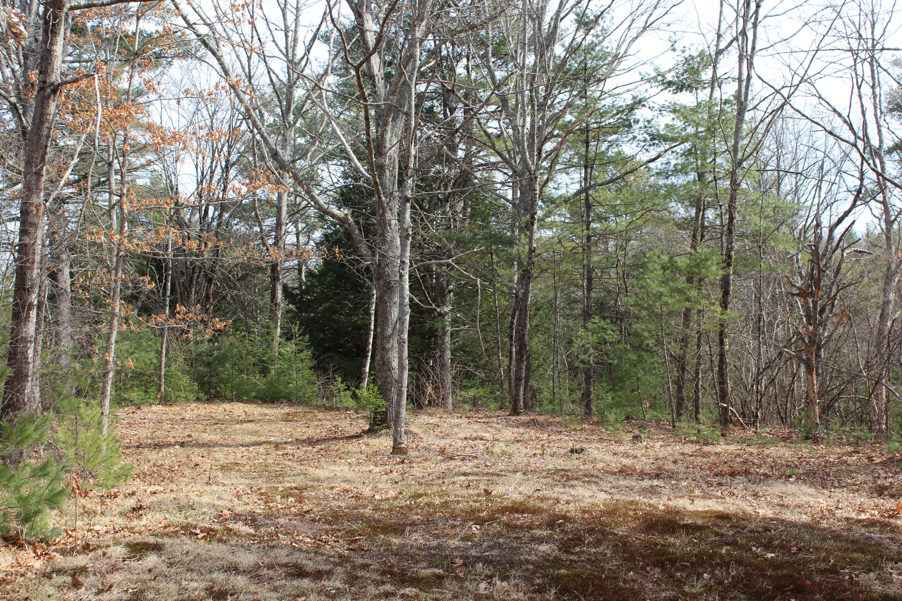 Lot 00 East Knight Farm Road Kennebunk, ME 04043 - Photo 9 of 14 Level Areas