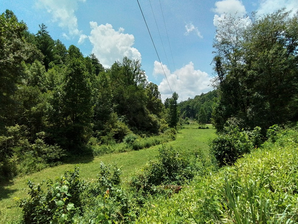 1378 S Morrow Road Murphy, NC 28906 - Photo 2 of 27