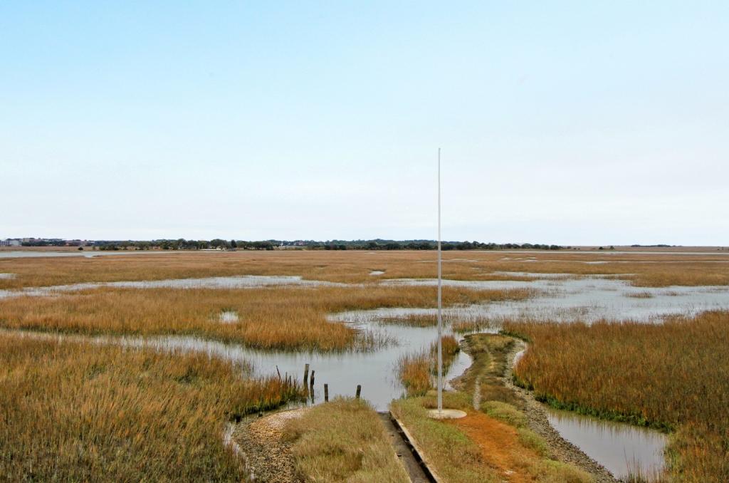 2115 Tides End Road Charleston, SC 29412 - Photo 10 of 38 View from Deck