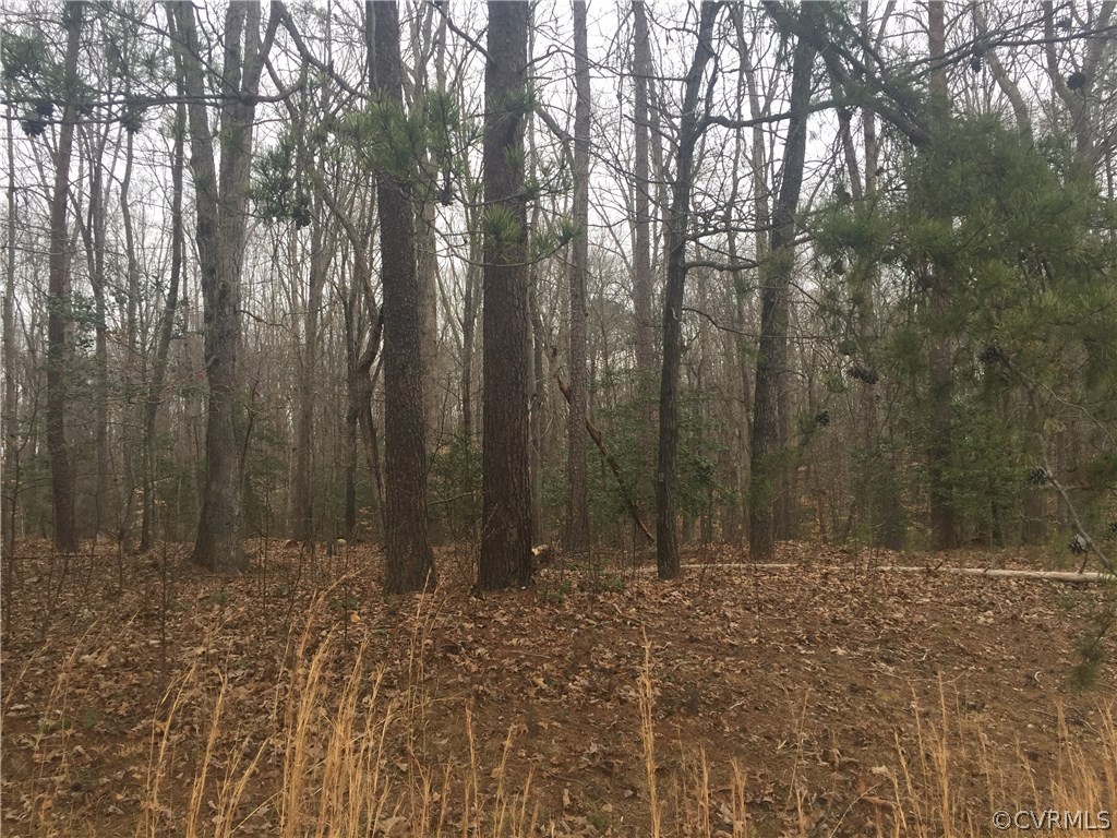 0 New Bridge Road Mineral, VA 23117 - Photo 3 of 4 a view of outdoor space with lots of trees