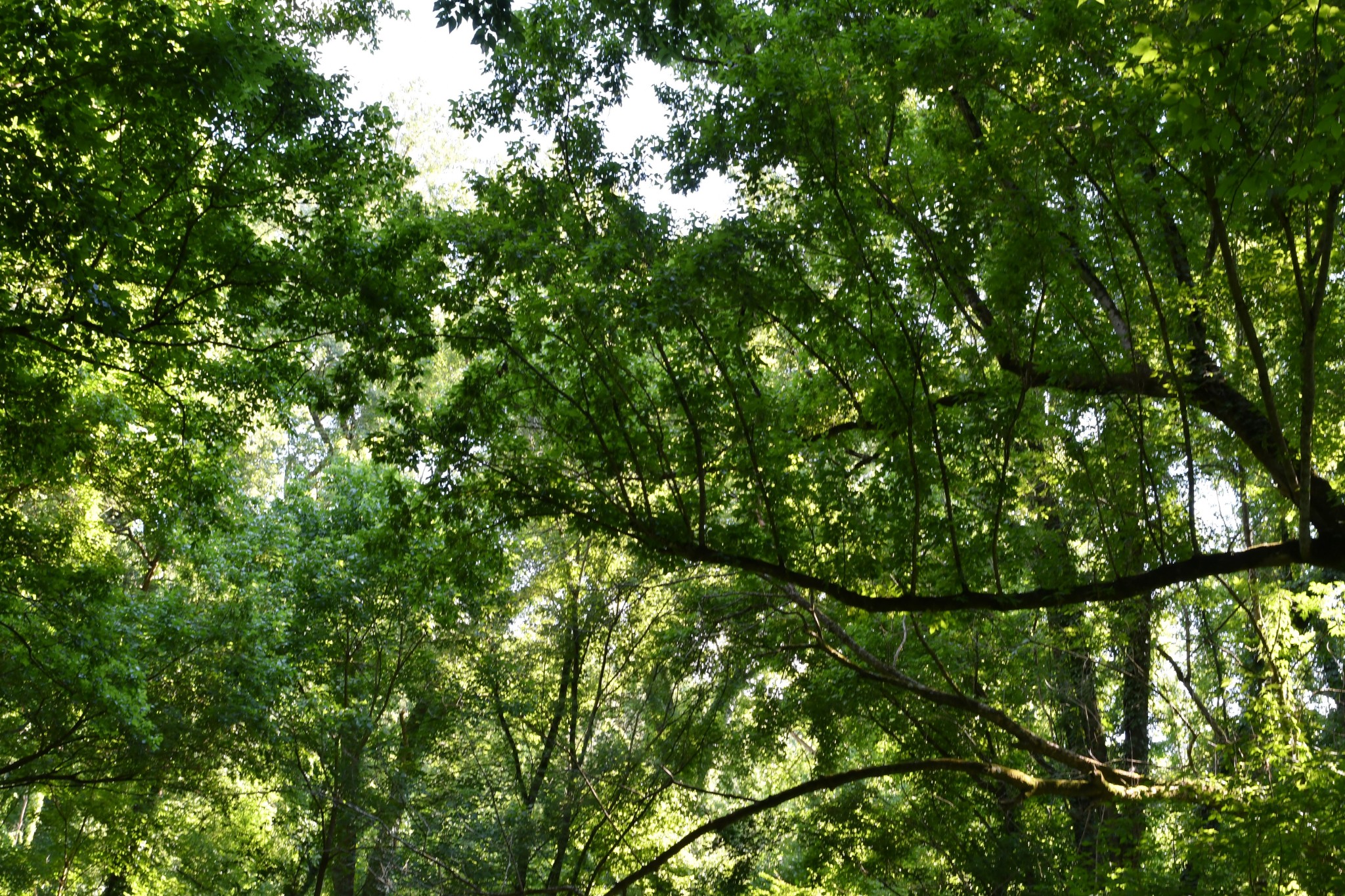 1613 Groveland Ridge Road Columbia, TN 38401 - Photo 11 of 42