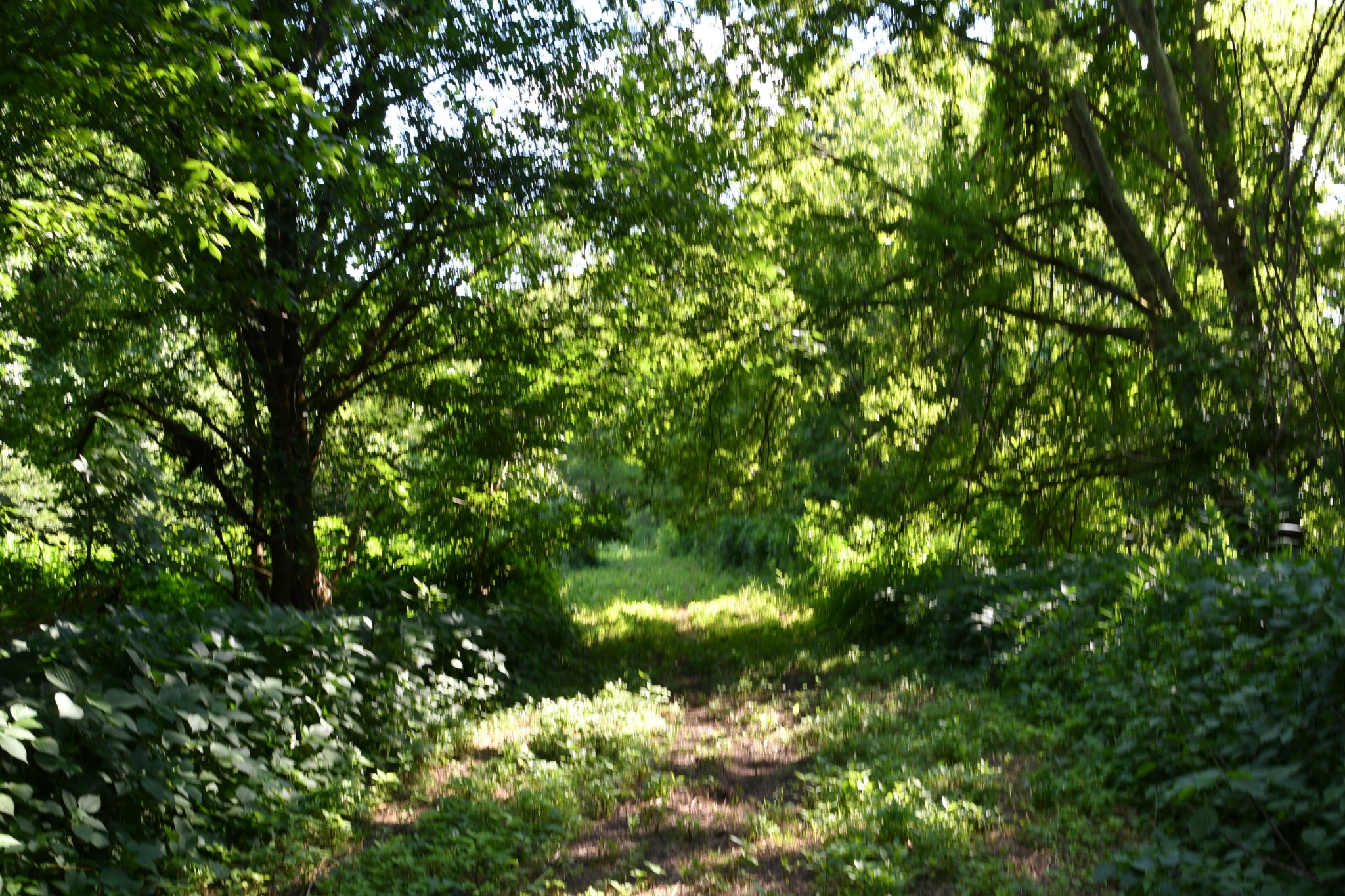 1613 Groveland Ridge Road Columbia, TN 38401 - Photo 12 of 42