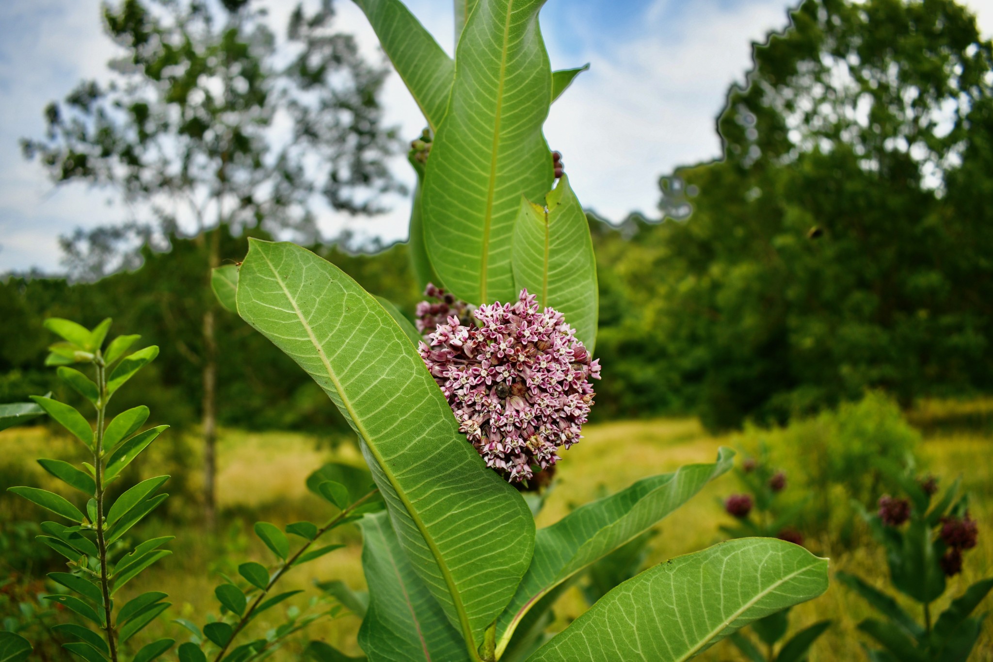 1613 Groveland Ridge Road Columbia, TN 38401 - Photo 13 of 42