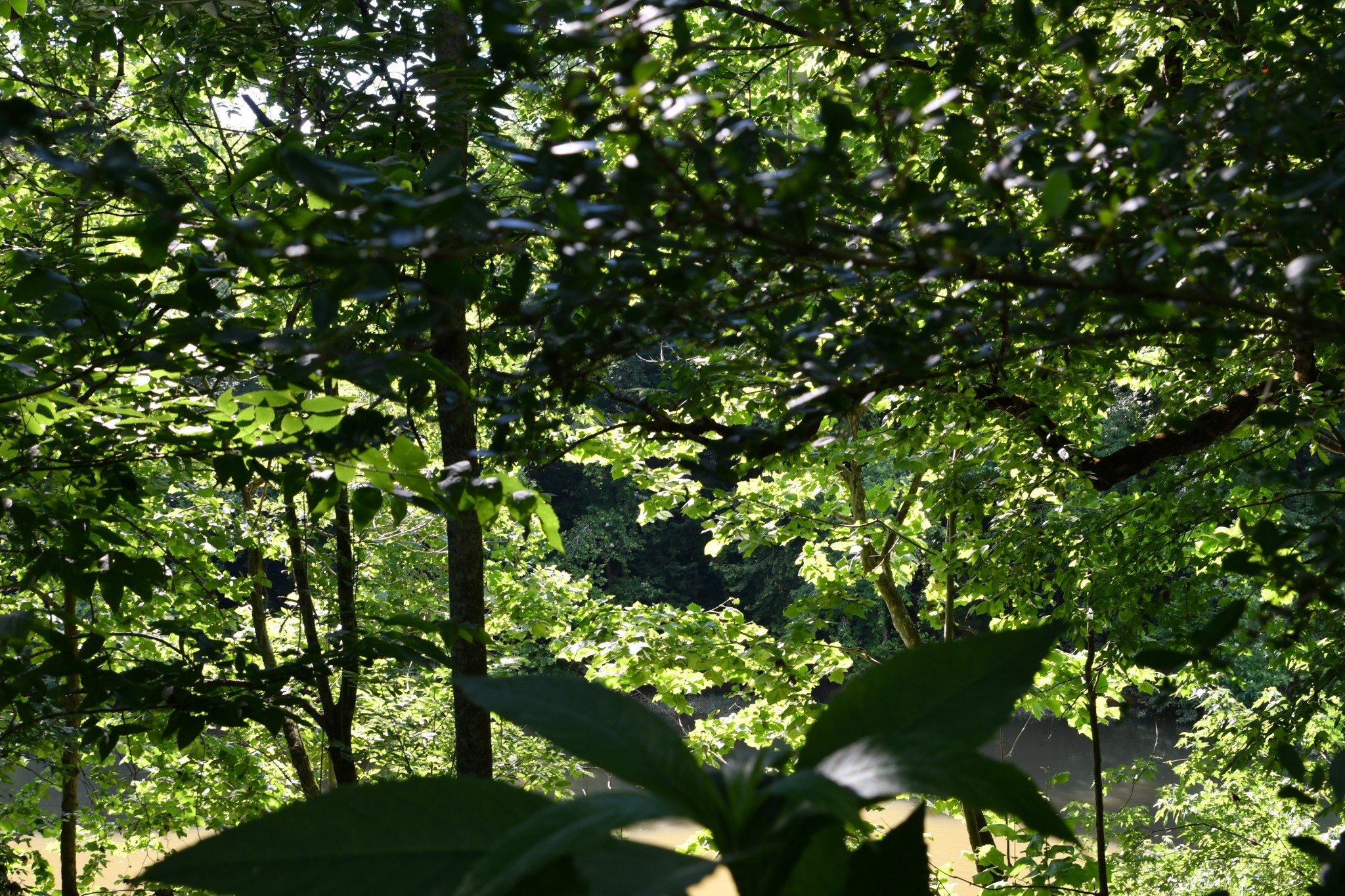 1613 Groveland Ridge Road Columbia, TN 38401 - Photo 22 of 42