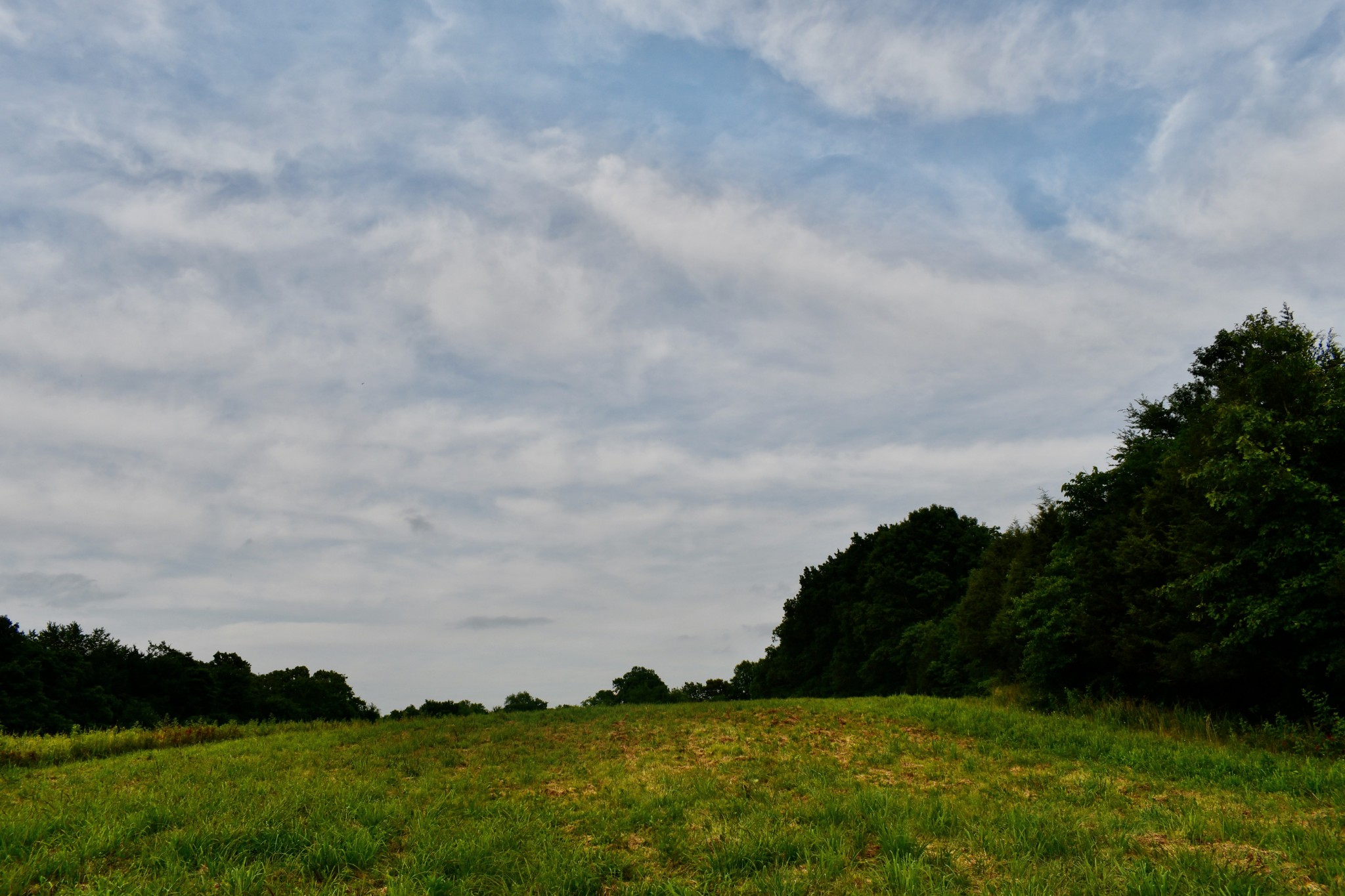 1613 Groveland Ridge Road Columbia, TN 38401 - Photo 24 of 42