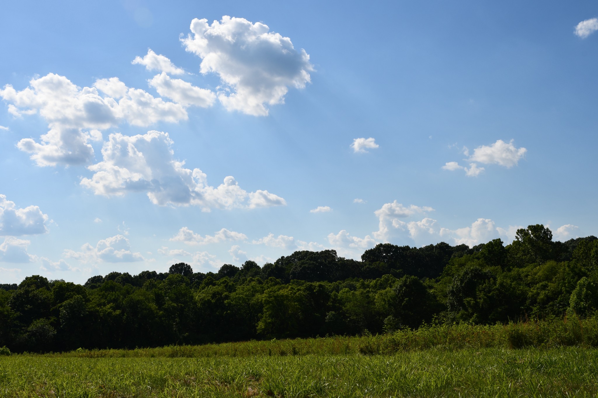 1613 Groveland Ridge Road Columbia, TN 38401 - Photo 28 of 42