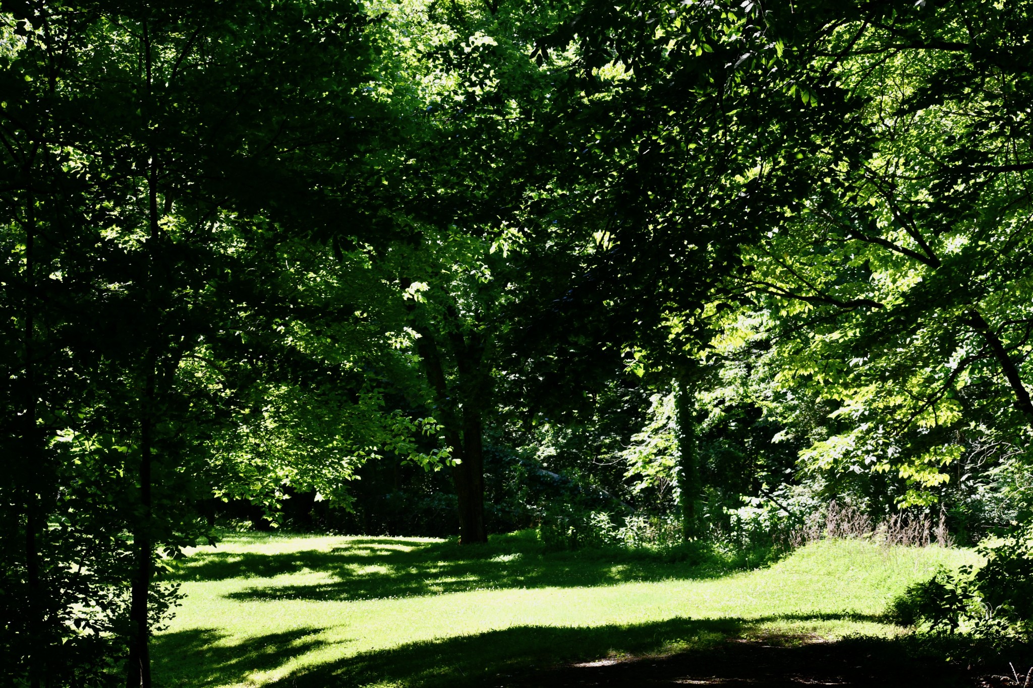 1613 Groveland Ridge Road Columbia, TN 38401 - Photo 4 of 42