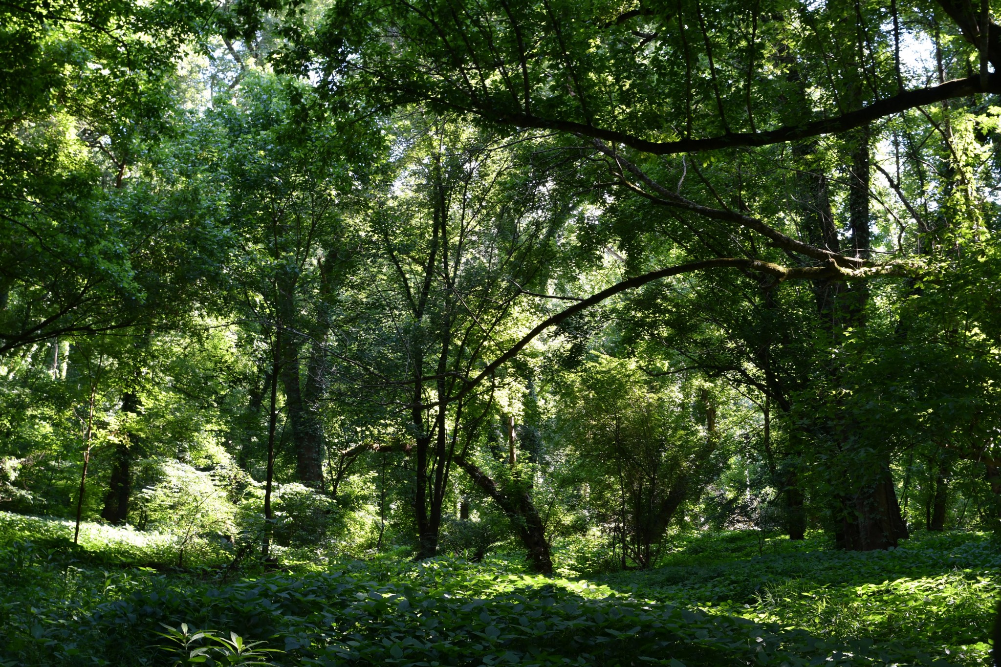 1613 Groveland Ridge Road Columbia, TN 38401 - Photo 31 of 42