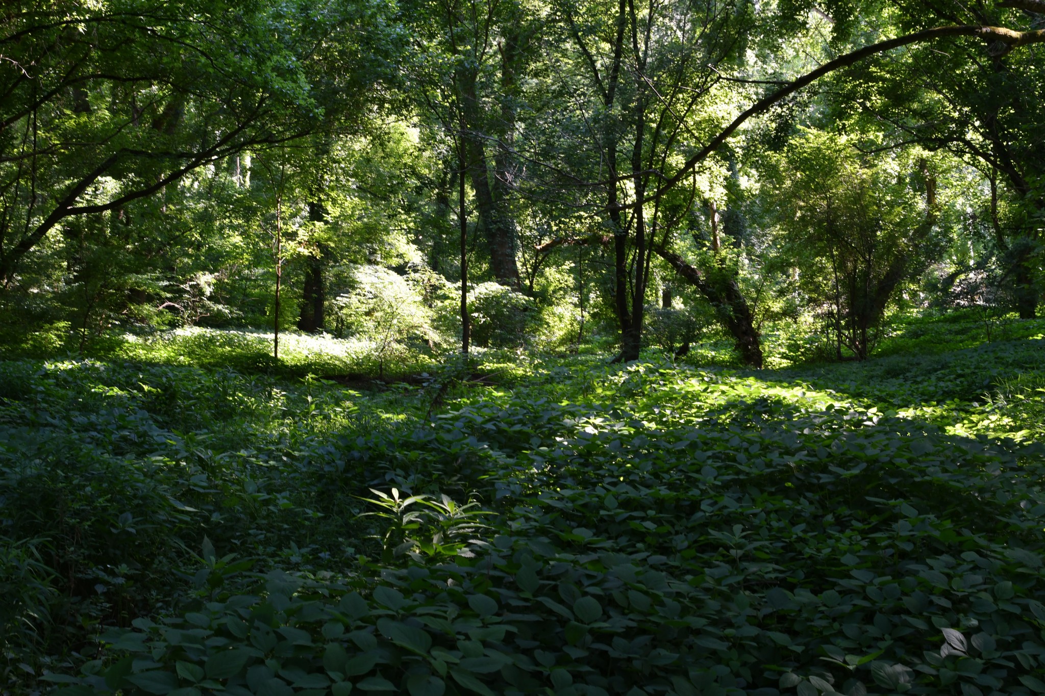 1613 Groveland Ridge Road Columbia, TN 38401 - Photo 32 of 42