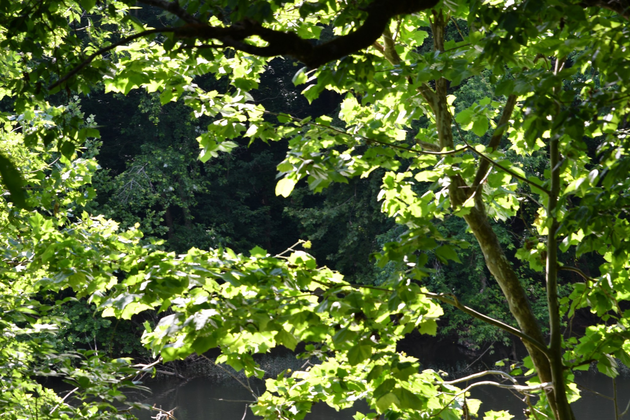 1613 Groveland Ridge Road Columbia, TN 38401 - Photo 33 of 42