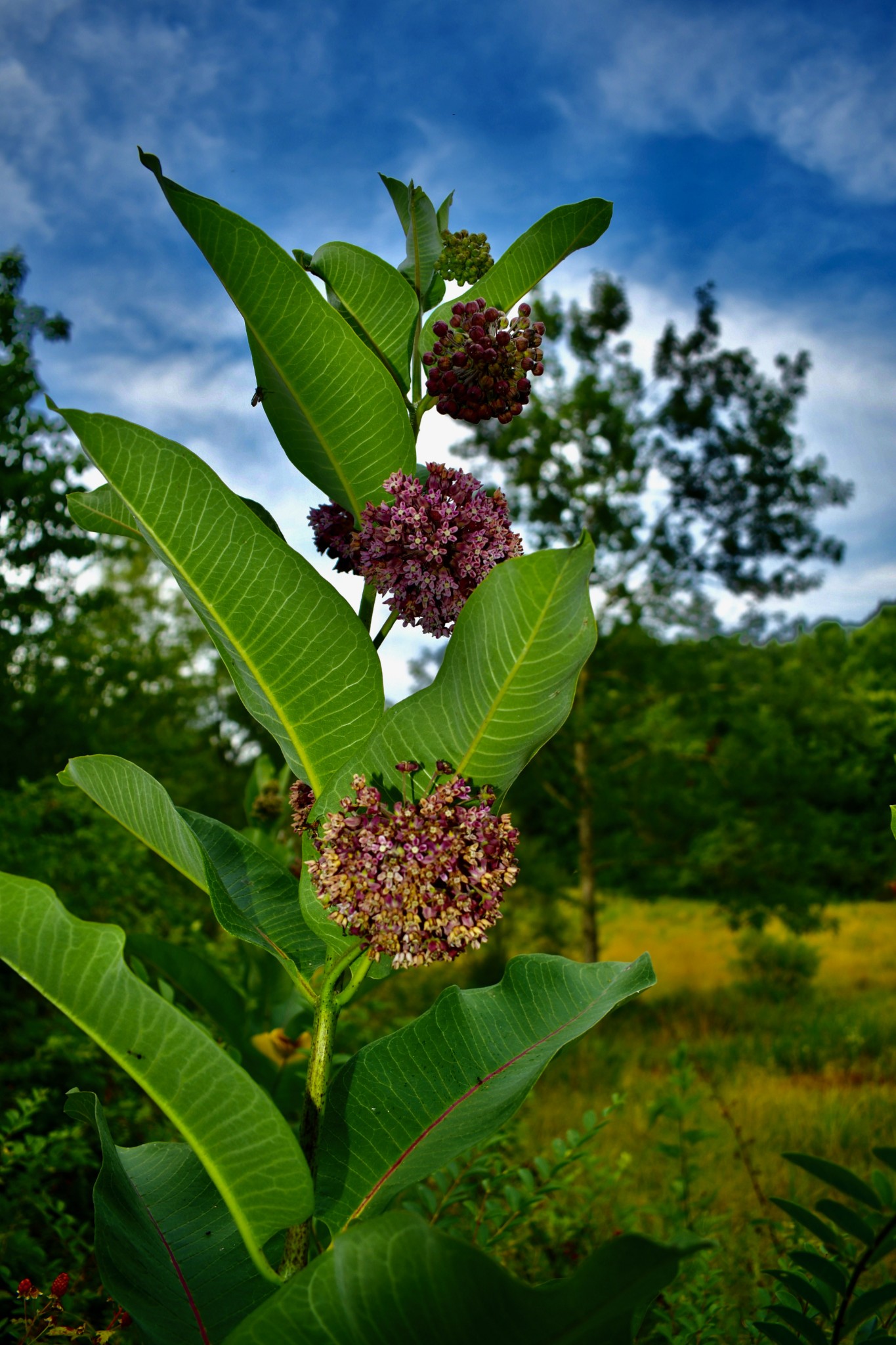 1613 Groveland Ridge Road Columbia, TN 38401 - Photo 34 of 42